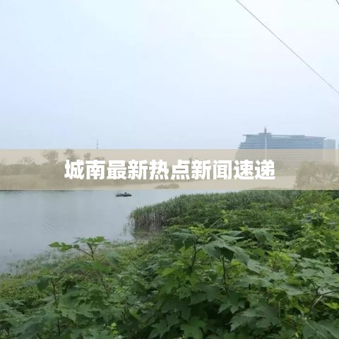 城南最新热点新闻速递