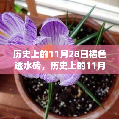 历史上的11月28日，褐色透水砖的演变与影响回顾