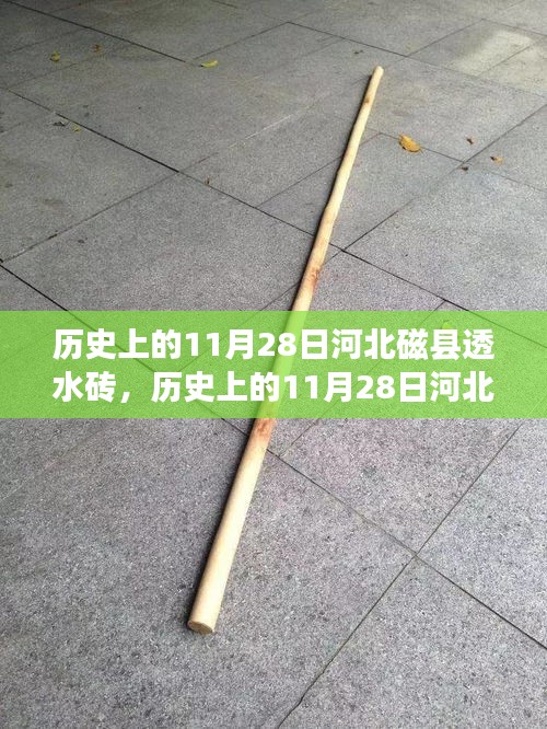 河北磁县透水砖事件深度剖析，历史回顾与反思的11月28日