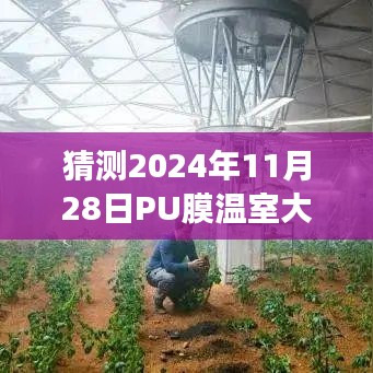 超越时空的设想，2024年PU膜温室大棚的革新之旅启程了