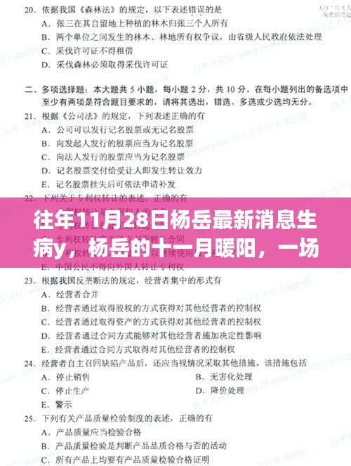 杨岳十一月暖阳下的生病与友情的温馨故事