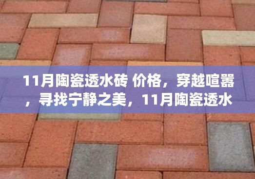 11月陶瓷透水砖价格之旅，探寻喧嚣中的宁静之美