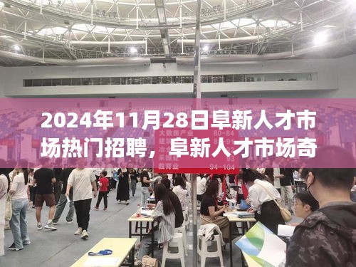 阜新人才市场奇遇记，职场之爱，友情与梦想的温暖碰撞（2024年11月28日热门招聘）