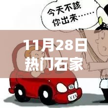 11月28日石家庄限行通知最新更新，出行必备指南