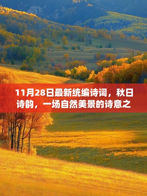 秋日诗韵，自然美景的诗意之旅——最新统编诗词赏析（11月28日）