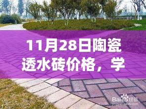 陶瓷透水砖市场变化与成长之路，价格动态与未来学习成就自信之路