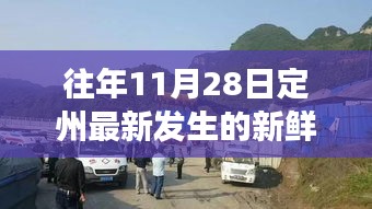 定州11月28日温馨日常奇遇记，新鲜事回顾