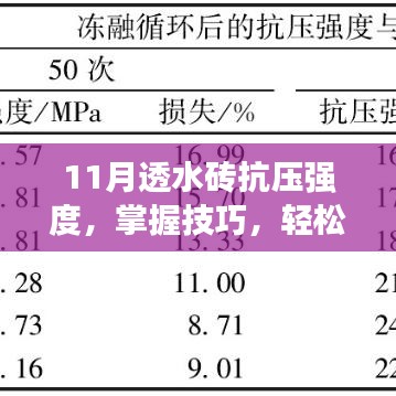 11月透水砖抗压强度检测指南，掌握技巧，轻松完成步骤