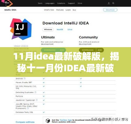 揭秘十一月份IDEA最新破解版，影响、背景与特定领域地位解析