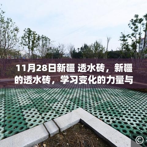 新疆透水砖，学习变化的力量与自信绽放的魅力