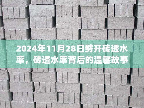 砖透水率背后的友情与陪伴，2024年11月28日的那份温馨故事