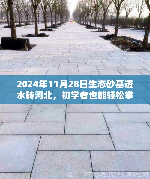 2024年河北生态砂基透水砖铺设指南，初学者全攻略