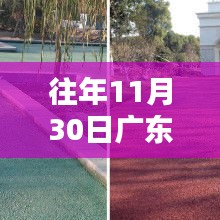 广东市政透水彩砖价格深度解析与评测报告