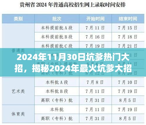 揭秘，2024年最火坑爹大招揭秘与趋势洞察