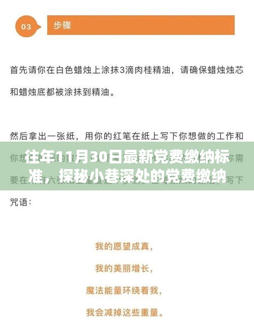 揭秘最新党费缴纳标准，小巷深处的特色小店与缴纳秘境探秘之旅