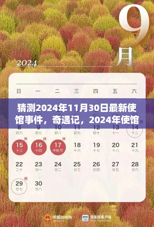 2024年使馆之夜，神秘事件与意外奇遇