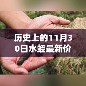 历史上的水蛭最新价格揭秘，科技力量引领未来生活的高科技产品体验