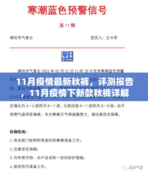 11月疫情下的新款秋裤评测报告，详细解析与体验分享