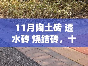 时代印记与工艺演进，11月陶土砖、透水砖与烧结砖探析