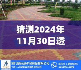 小红书深度解析，2024年透水砖与水泥砖行业发展趋势洞察及预测