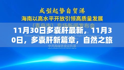 11月30日多囊肝最新进展，自然之旅中的心灵静谧之旅