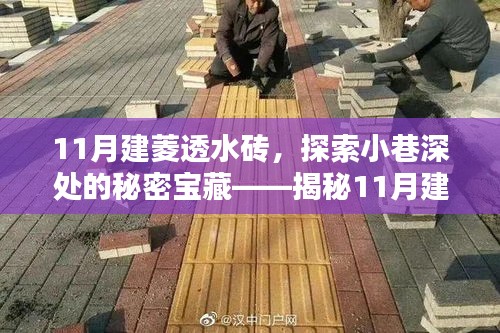 揭秘小巷深处的秘密宝藏，探索建菱透水砖背后的独特小店