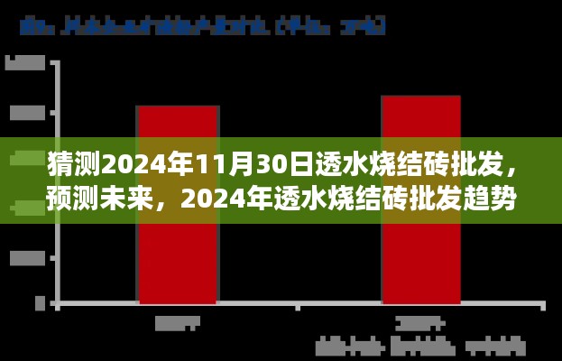 2024年透水烧结砖批发趋势预测，未来市场分析与猜测