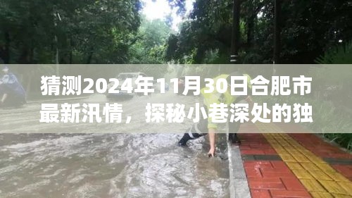 合肥市汛情预测与小巷深处独特小店的探秘之旅