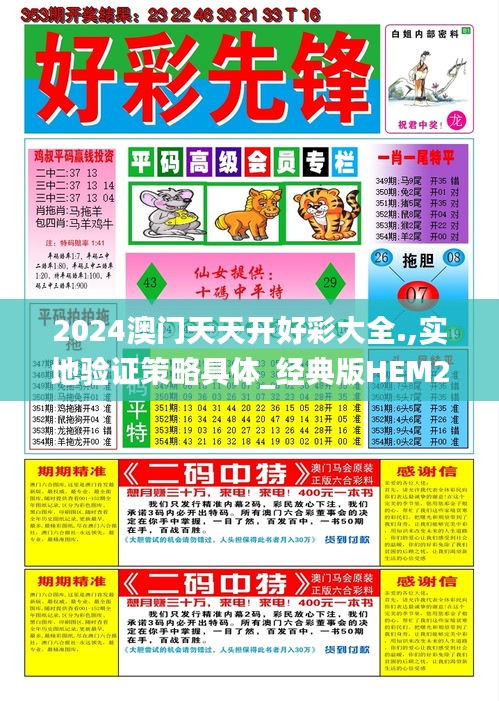 2024澳门天天开好彩大全.,实地验证策略具体_经典版HEM25.553