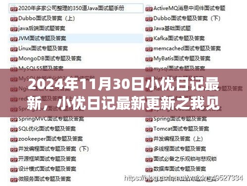 聚焦观点分析，小优日记最新更新之我见（2024年11月30日最新内容）