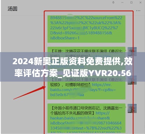 2024新奥正版资料免费提供,效率评估方案_见证版YVR20.569