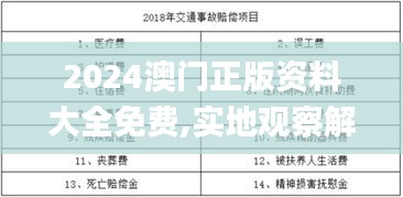 2024澳门正版资料大全免费,实地观察解释定义_PMT69.863增强版