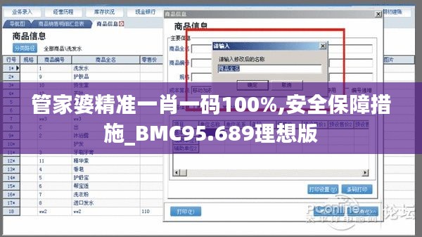 管家婆精准一肖一码100%,安全保障措施_BMC95.689理想版