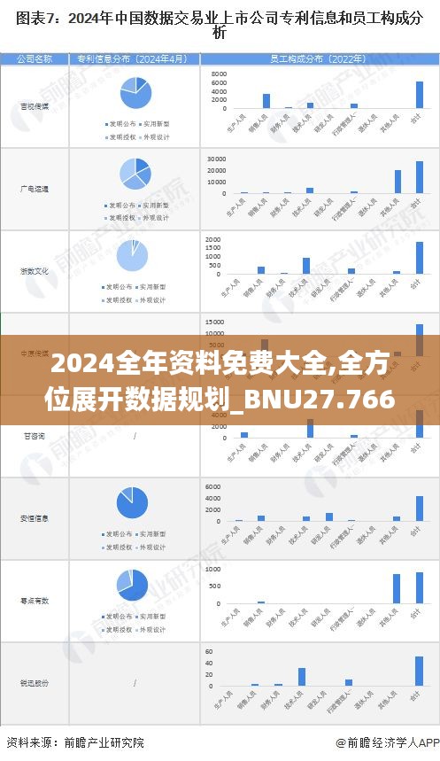 2024全年资料免费大全,全方位展开数据规划_BNU27.766精密版