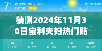 宝利夫妇未来趋势揭秘，热门贴吧分析与预测（2024年11月30日）