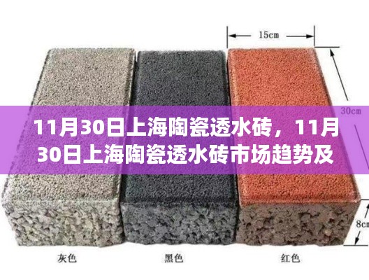 上海陶瓷透水砖市场趋势及前沿应用解析，11月30日最新动态