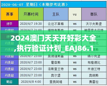 2O24澳门天天开好彩大全,执行验证计划_EAJ86.124采购版