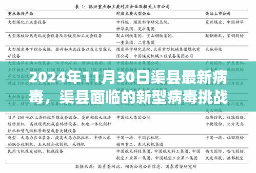 渠县面临新型病毒挑战，最新病毒动态及应对措施（2024年11月30日视角）