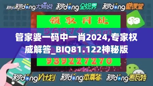 管家婆一码中一肖2024,专家权威解答_BIQ81.122神秘版