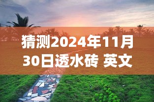 2024年11月30日透水砖探险之旅，穿越自然美景的奇妙探险之旅