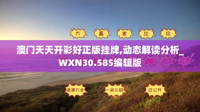 澳门天天开彩好正版挂牌,动态解读分析_WXN30.585编辑版