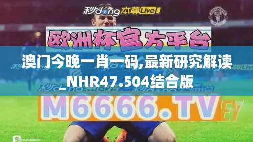 澳门今晚一肖一码,最新研究解读_NHR47.504结合版