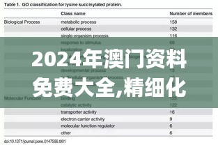 2024年澳门资料免费大全,精细化方案决策_NPH73.674模块版