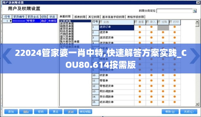 22024管家婆一肖中特,快速解答方案实践_COU80.614按需版