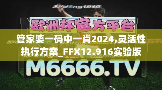 管家婆一码中一肖2024,灵活性执行方案_FFX12.916实验版