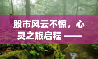 心灵治愈之旅，股市风云下的自然美景探寻之旅