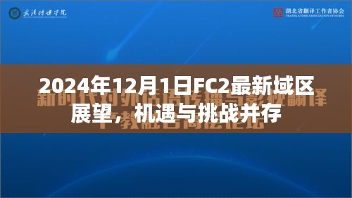 2024年FC2最新域区展望，机遇与挑战并存