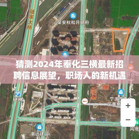 2024年奉化三横最新招聘展望，职场人的机遇与挑战