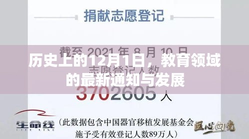 历史上的12月1日教育领域的重大通知与发展回顾