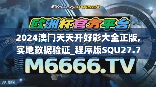 2024澳门天天开好彩大全正版,实地数据验证_程序版SQU27.708